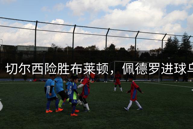 切尔西险胜布莱顿，佩德罗进球乌龙，凯塞多再伤