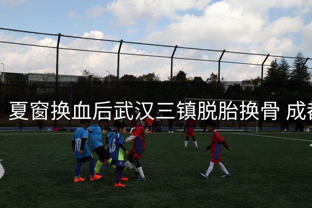 夏窗换血后武汉三镇脱胎换骨 成都蓉城五轮不胜陷怪圈
