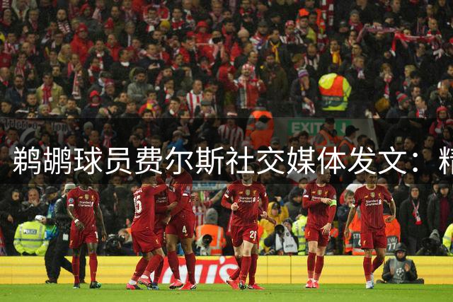 鹈鹕球员费尔斯社交媒体发文：精神安宁最为珍贵 但已保留所有凭证